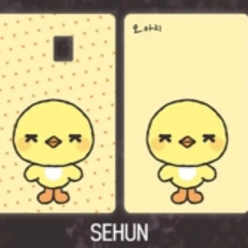 [BUNJANG] EXO Sehun Oarri Card Sticker / EXO 엑소 세훈 오아리 카드 커버스티커 카드스티커 양도