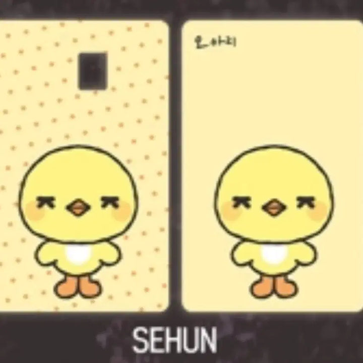 [BUNJANG] EXO Sehun Oarri Card Sticker / EXO 엑소 세훈 오아리 카드 커버스티커 카드스티커 양도