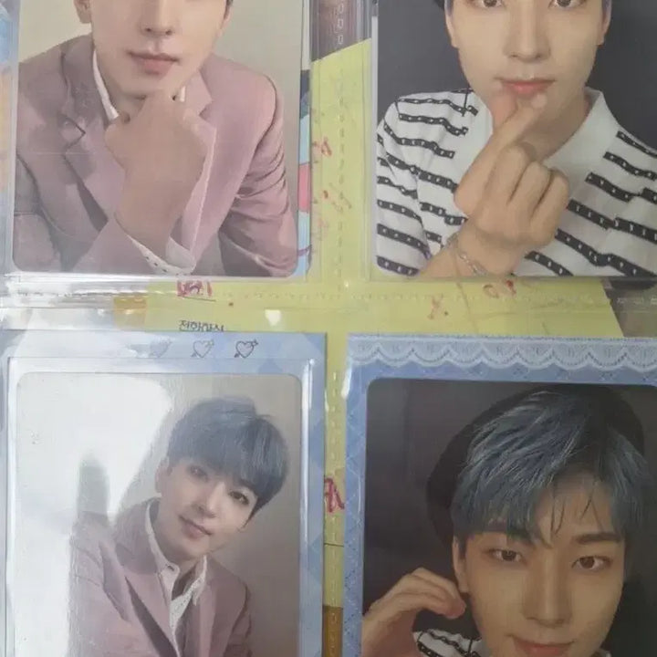 [BUNJANG] SEVENTEEN Wonwoo Falling Flower Photocard / 세븐틴 원우 일본 앨범 폴링 플라워 포카 판매