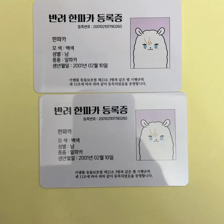 [BUNJANG] PLAVE Han Noah Winter Attribute Puffer Jacket Bundle Set / 플레이브 한노아 속성솜 한파카 일반/뽀글 일괄양도