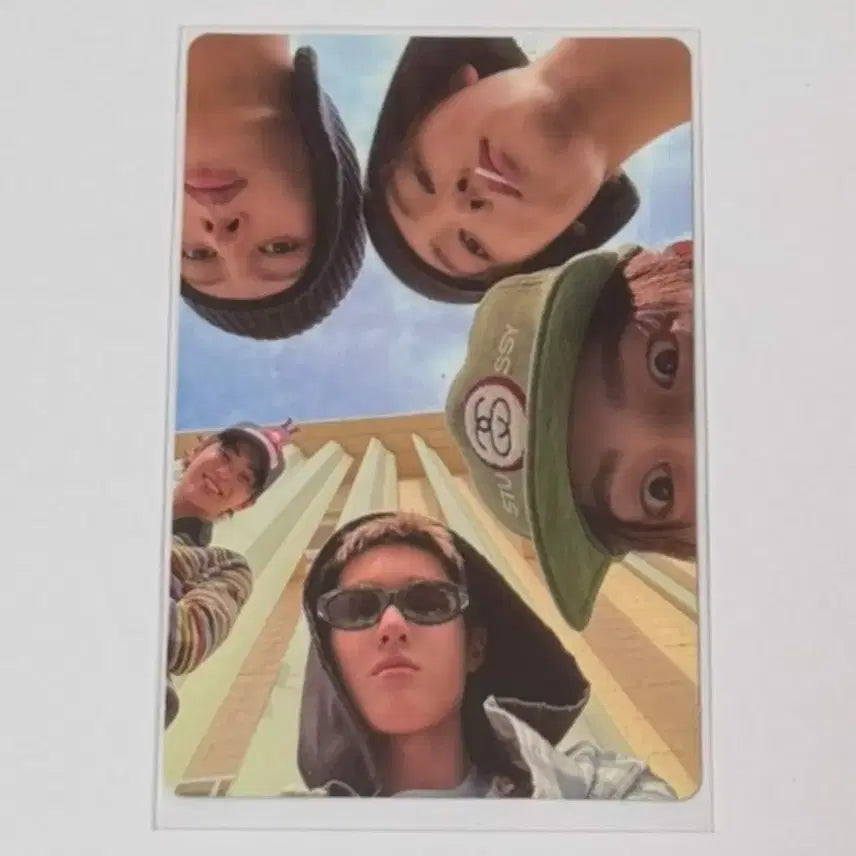 코르티스 바이닐 lp 단체 포카 양도