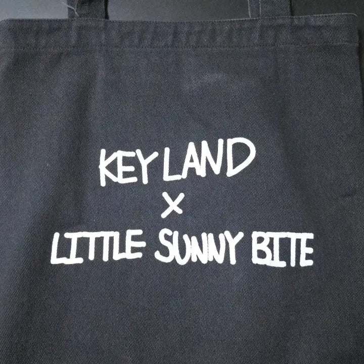 [BUNJANG] SHINee Key Keyland Eco Bag / 샤이니 키 키랜드 에코백