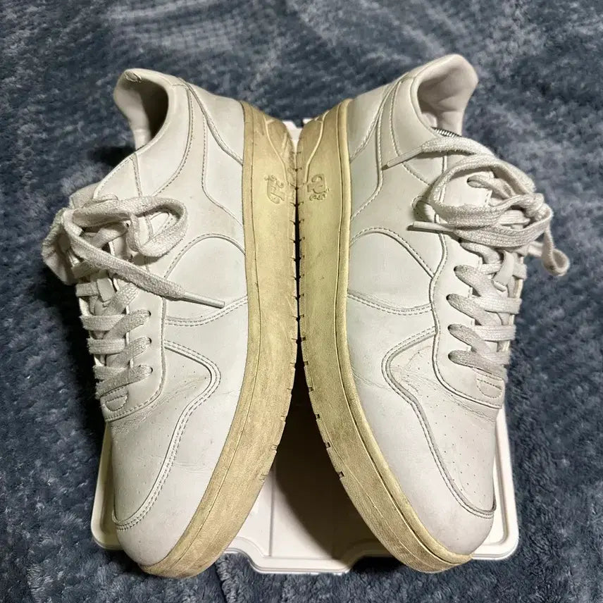 [BUNJANG] Posed Gants Match Sneakers / (280)포즈간츠 매치 스니커즈