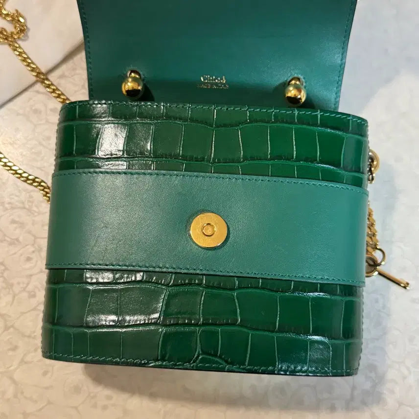 [SOLD OUT] 끌로에 에비락 그린 크록 이펙트 스몰