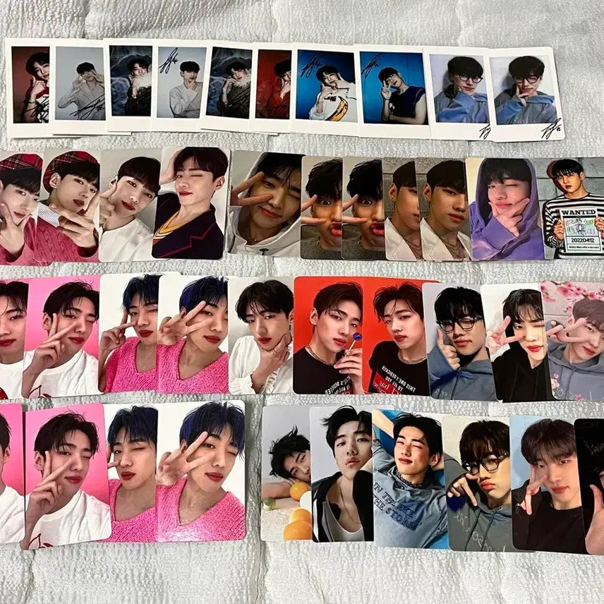 일괄)DKZ 디케이지 재찬 미공포 포카 ㅅㅊ 사랑도둑 에버라인 폴라