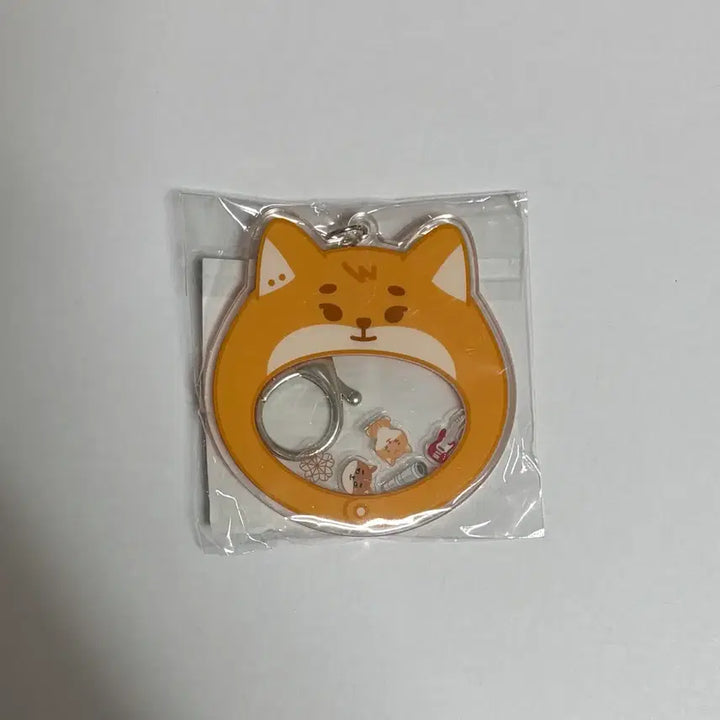 [BUNJANG] Day6 Young K K-Shaker Keyring Sealed / 데이식스 영케이 쁘띠멀즈 케 쉐이커 키링 미개봉 양도