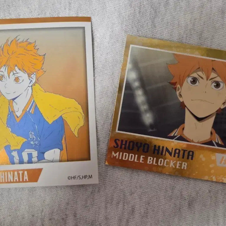 [BUNJANG] Haikyuu Hinata Sticker / 하이큐) 히나타 스티커