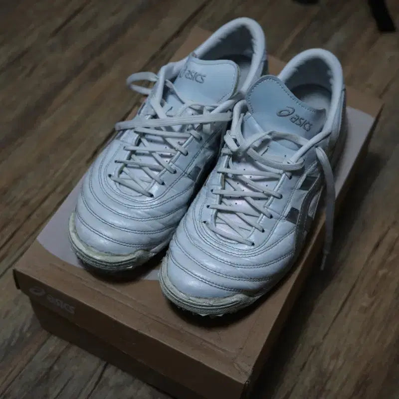 [BUNJANG] Asics C3 TF Futsal Shoes / 아식스 C3 TF 풋살화 255