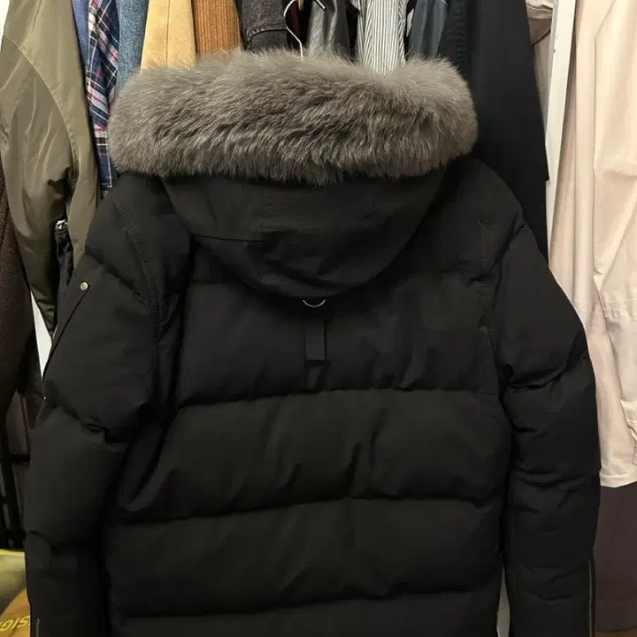 [BUNJANG] Moose Knuckles Nelson Three Quarter Down Jacket / 무스너클 넬슨 쓰리쿼터