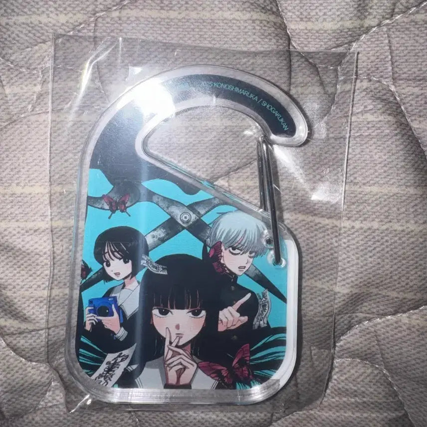 [BUNJANG] Acrylic Carabiner / 찍히지 않습니다 아크릴 카라비너