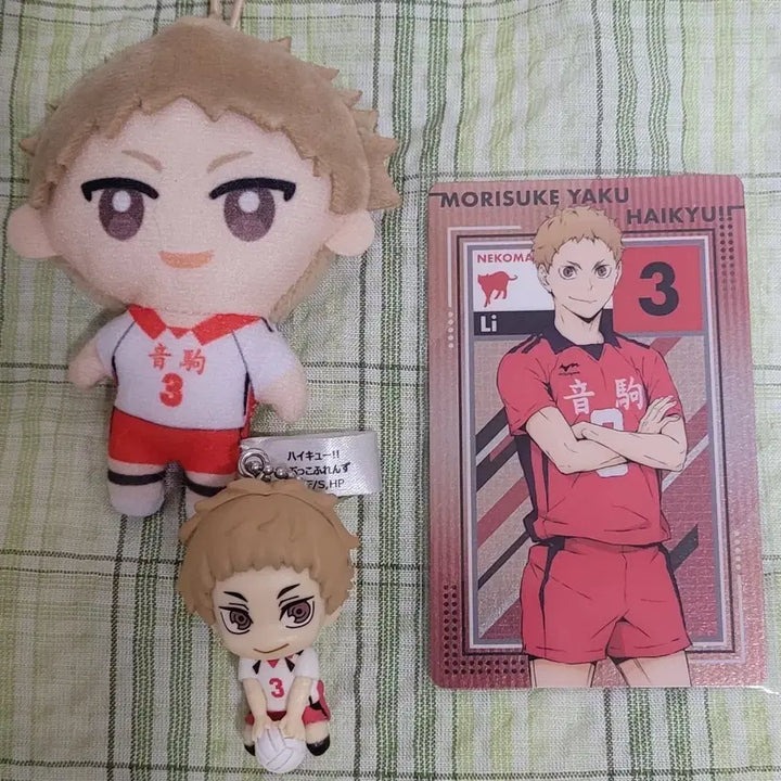[BUNJANG] Haikyuu Morisuke Yaku Bundle Set / 하이큐 야쿠 모리스케 인형/키링/카드 굿즈 일괄판매
