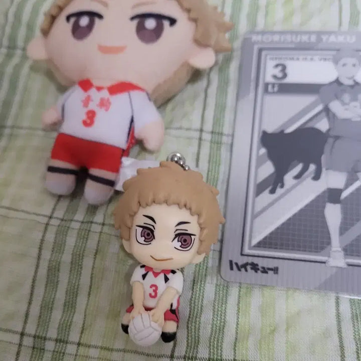 [BUNJANG] Haikyuu Morisuke Yaku Bundle Set / 하이큐 야쿠 모리스케 인형/키링/카드 굿즈 일괄판매