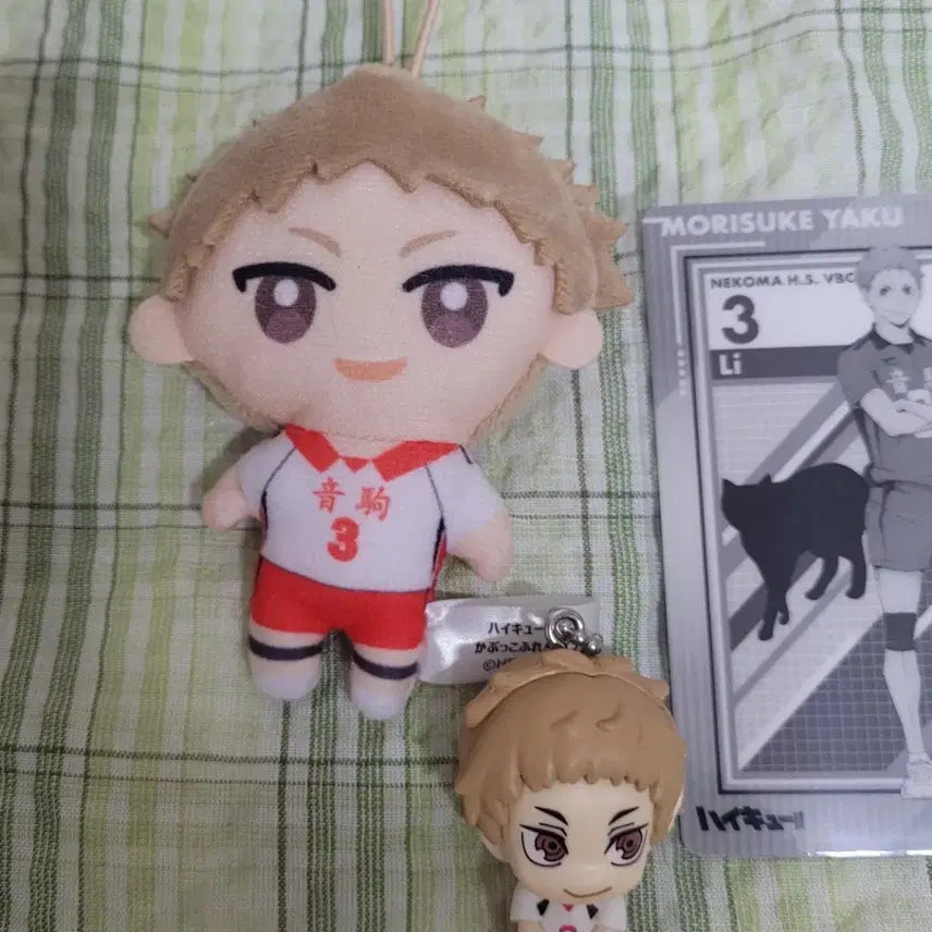 [BUNJANG] Haikyuu Morisuke Yaku Bundle Set / 하이큐 야쿠 모리스케 인형/키링/카드 굿즈 일괄판매