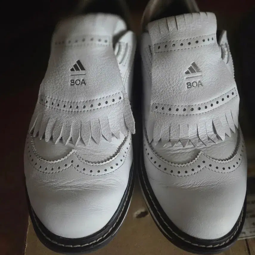 [BUNJANG] Adidas Golf Shoes / 아디다스골프화