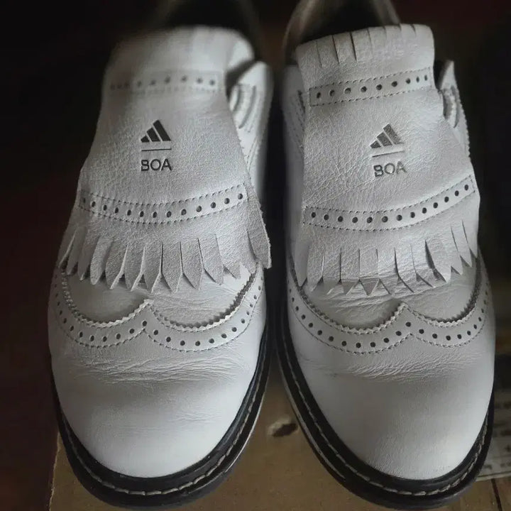 [BUNJANG] Adidas Golf Shoes / 아디다스골프화