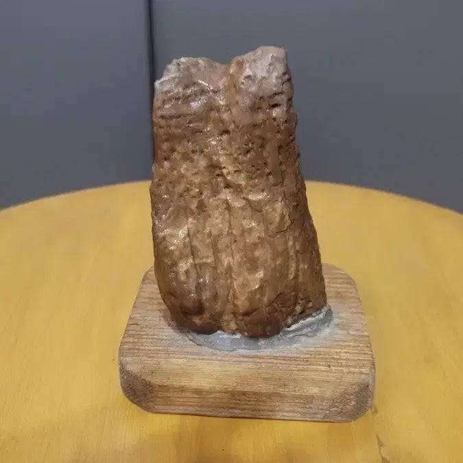 [BUNJANG] Arabian Desert Stone with Wooden Stand / 아랍사막에서 채취한 수석