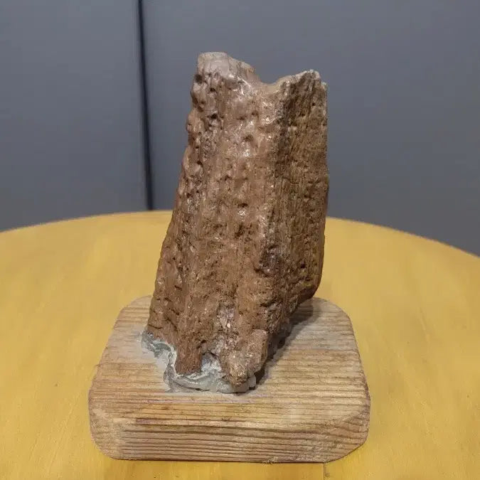 [BUNJANG] Arabian Desert Stone with Wooden Stand / 아랍사막에서 채취한 수석
