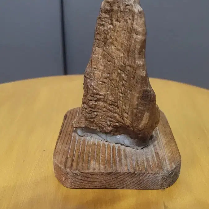 [BUNJANG] Arabian Desert Stone with Wooden Stand / 아랍사막에서 채취한 수석