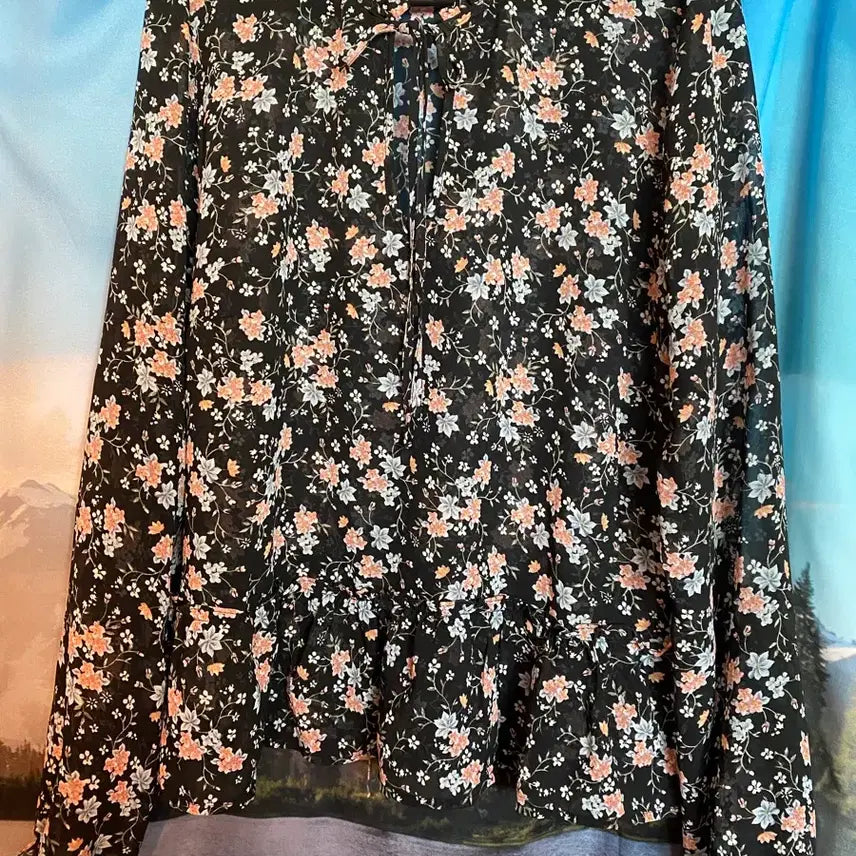 [BUNJANG] H&M See-through Blouse / H&m 시스루블라우스