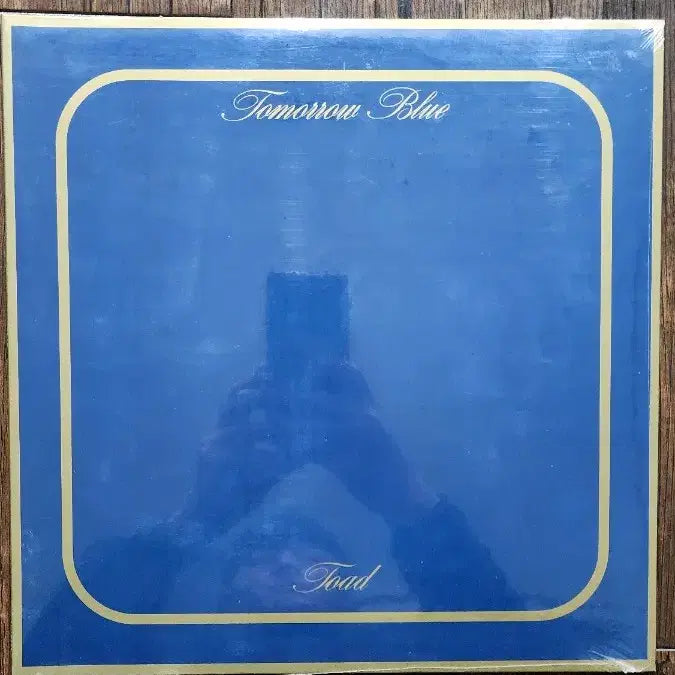 [BUNJANG] Toad Tomorrow Blue 180g GF Vinyl / Toad - Tomorrow blue 미개봉 180g GF