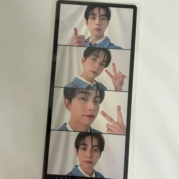 [SOLD OUT] 더스타 11월호 루시 최상엽 네컷사진