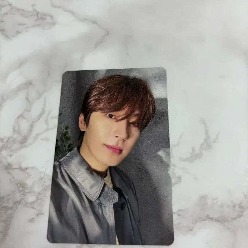 [BUNJANG] Seventeen Wonwoo Consumption Period Photocard / 세븐틴 일본앨범 소비기한 원우