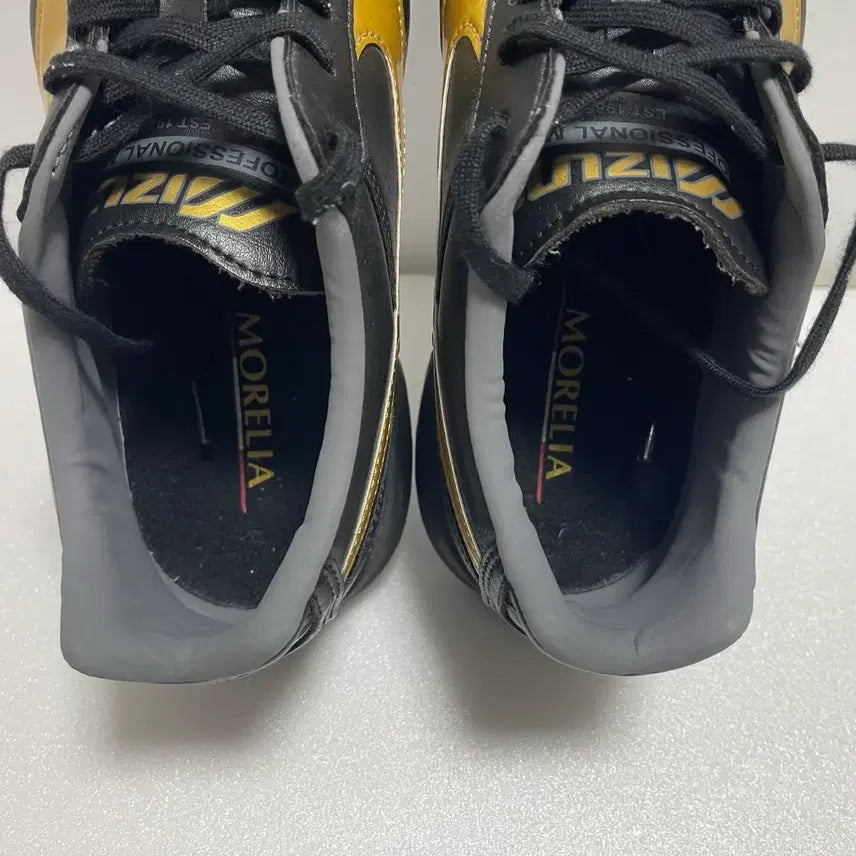 [SOLD OUT] 미즈노 모렐리아2 프로 AS TF 250