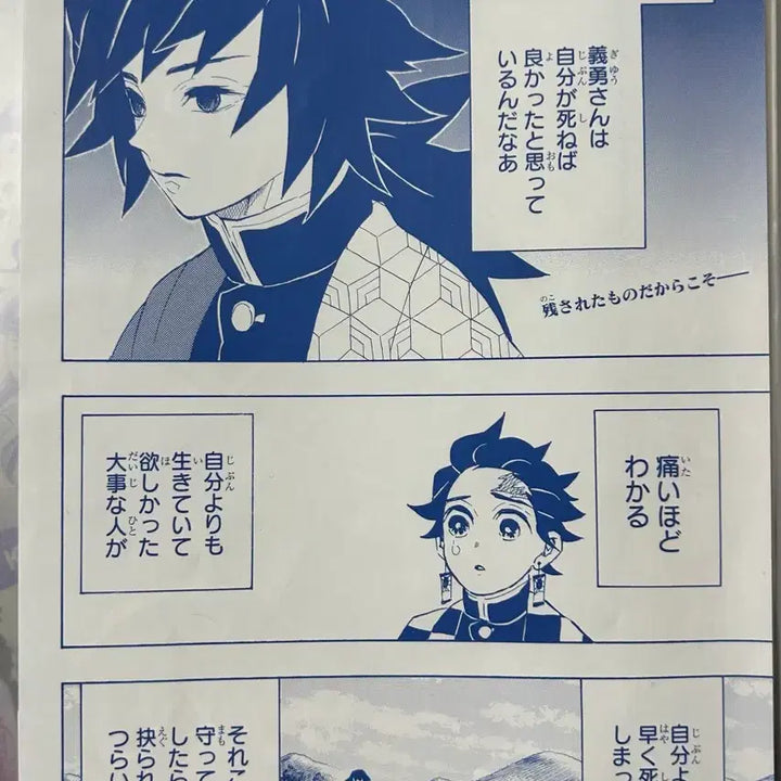 [BUNJANG] Kimetsu no Yaiba Giyu & Sabito Split Set / 소년점프 귀칼 귀멸의 칼날 기유&사비토 컬러 일러스트 분철