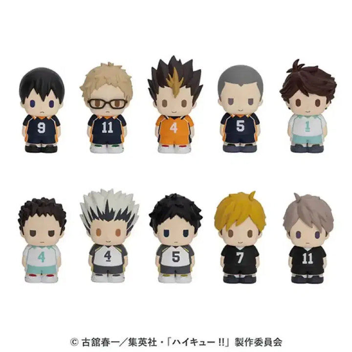 [BUNJANG] Haikyu Papemas Iwaizumi Figure / 원가이하)))하이큐 파페마스 이와이즈미