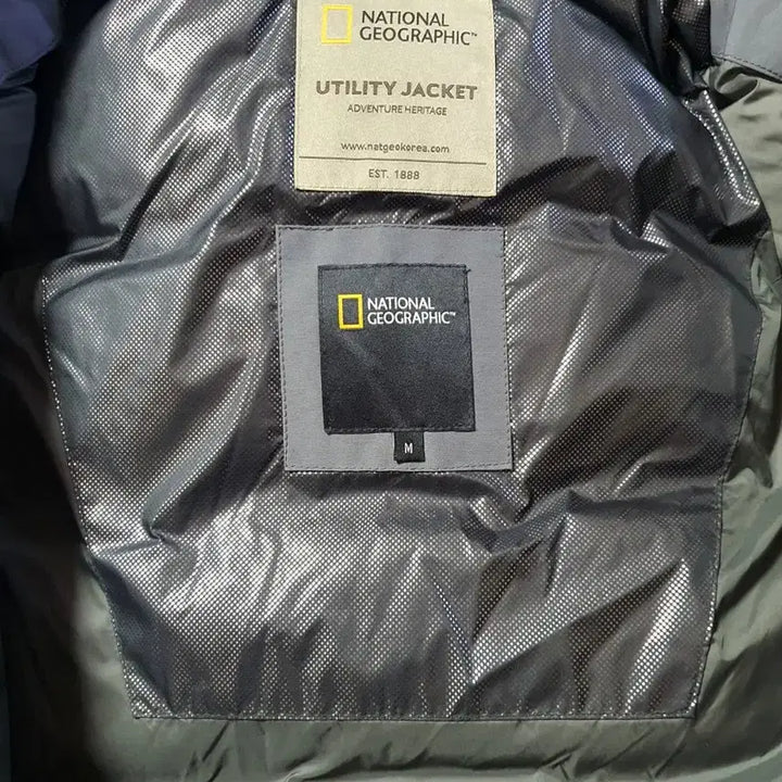 [BUNJANG] National Geographic Beluga Duck Down Padded Jacket / (새상품) 내셔널지오그래픽 벨루가 덕다운 패딩 95-100
