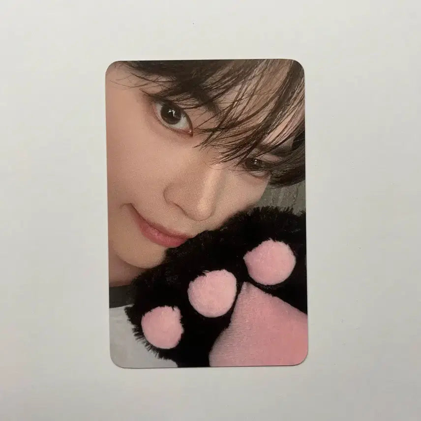 [BUNJANG] ZB1 (ZEROBASEONE) Sung Hanbin World Tour ZEROSE Zone Day 3 Photocard / 제로베이스원 성한빈 월투 제로즈존 Day3 포카