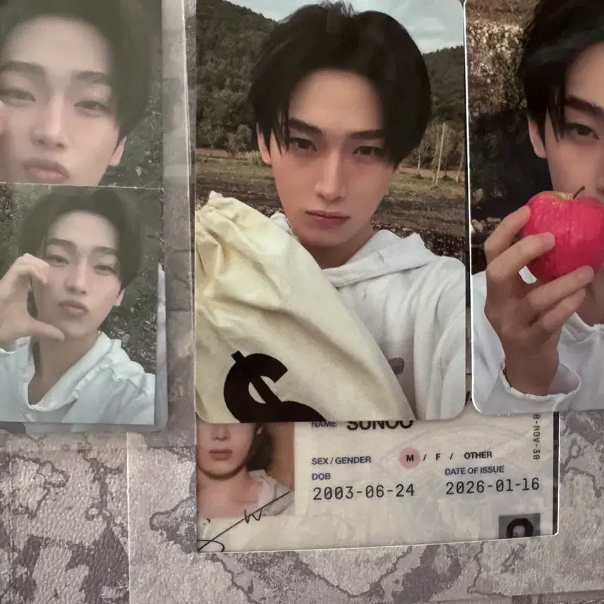 [BUNJANG] ENHYPEN Sunoo Album / The sin 엔하이픈 앨범 선우버전 양도