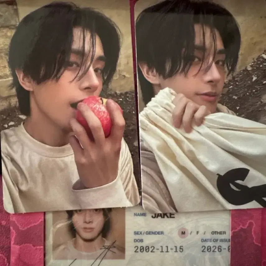 [SOLD OUT] 엔하이픈 앨범 제이크 버전 양도