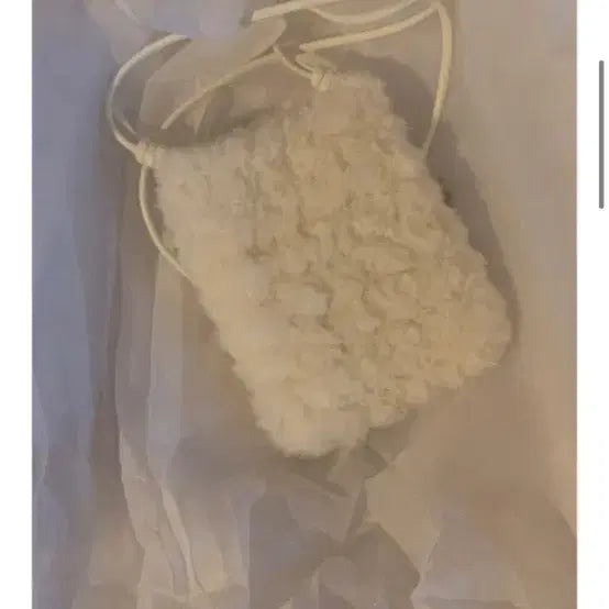 [BUNJANG] OEL Fur Bag / 오엘 퍼 가방