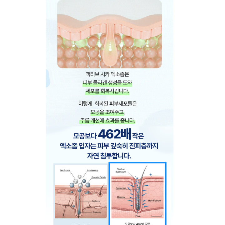 [BUNJANG] Cica Exosome Recovery Ampoule Cream 50ml / 시카 엑소좀 리커버리 앰플 크림 50ml 민감피부 진정 나이트케어 속보습