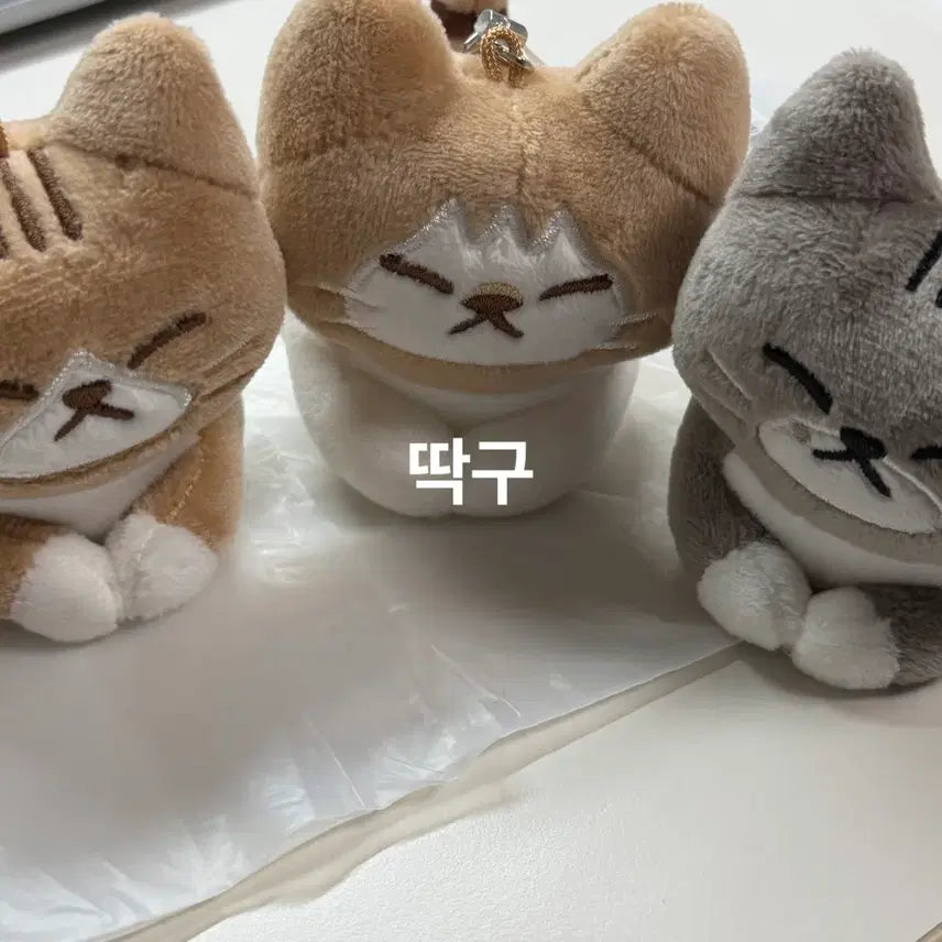 스키즈 순둥도리 인형 원가양도