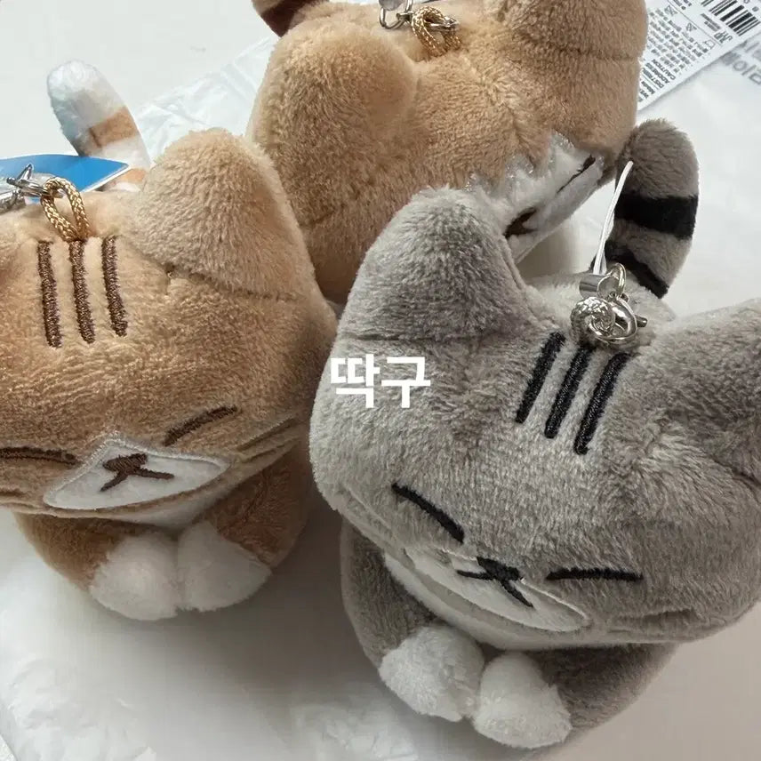 스키즈 순둥도리 인형 원가양도