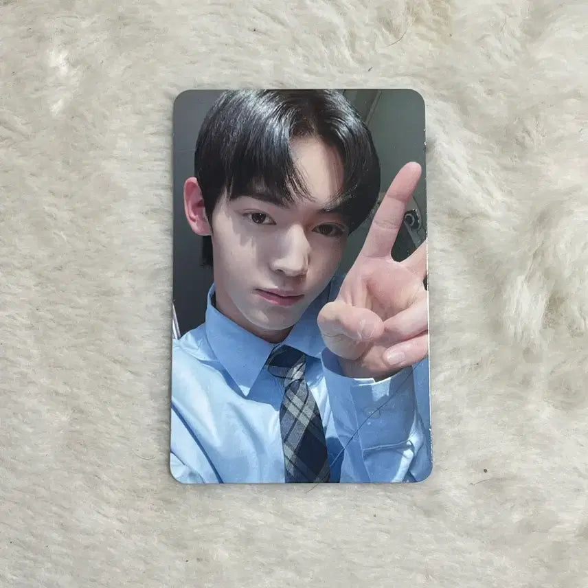 [BUNJANG] TWS Han Jin POB Photocard / 투어스 미니1집 스파클링블루 포카 미공포 한진 쇼피