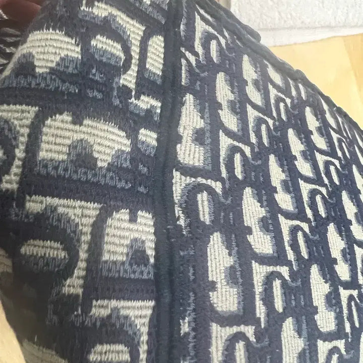 [BUNJANG] Dior Camp Bag Medium / 디올신상 캠프백 미디윰