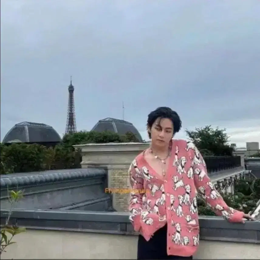 [BUNJANG] Celine Dalmatian Cardigan (V's Favorite) - New / 셀린느 정품 달마시안 가디건 팝니다. 새상품 입니다.