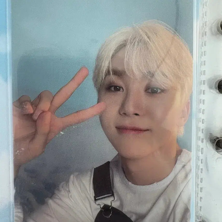 승관 dream 포카팝니다