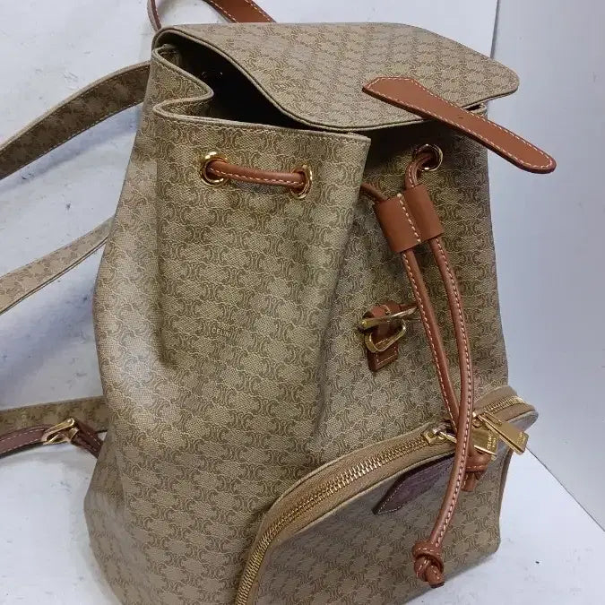 [BUNJANG] Celine Backpack Handbag / 셀린느 여성명품가방 백팩 명품핸드백