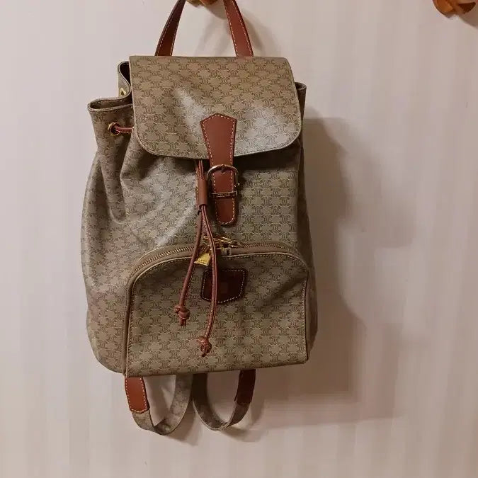 [BUNJANG] Celine Backpack Handbag / 셀린느 여성명품가방 백팩 명품핸드백