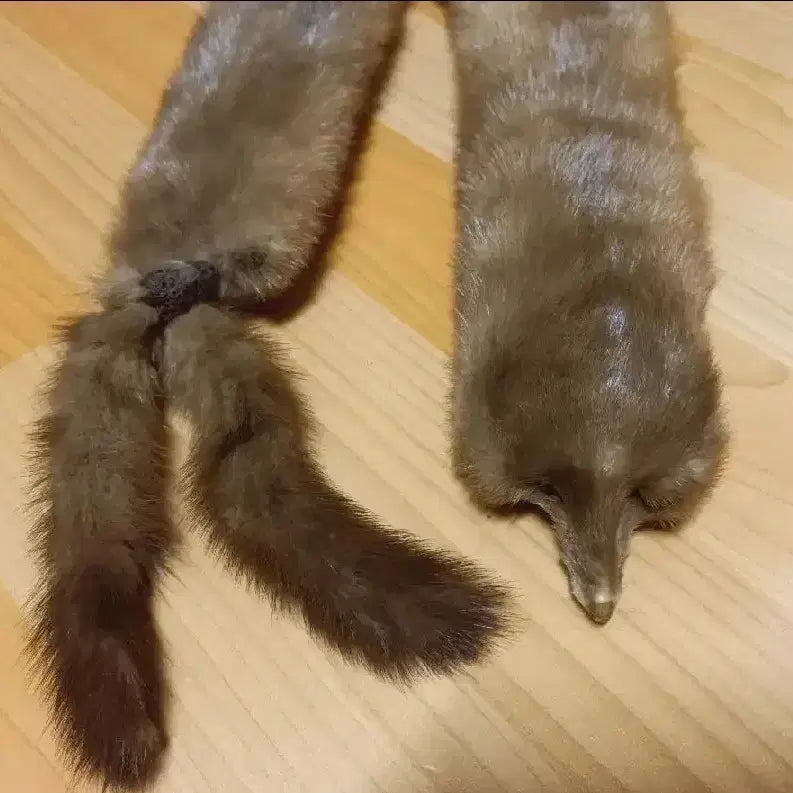 [BUNJANG] Mink Fur Scarf / 밍크목도리 모피목도리