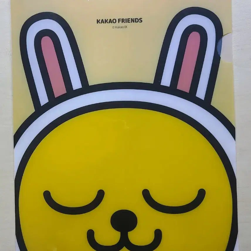 [BUNJANG] Kakao Friends File Folder and Binder Set / (미개봉)카카오프렌즈 파일철, 바인더 판매합니다