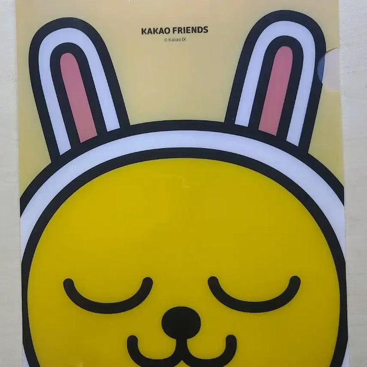 [BUNJANG] Kakao Friends File Folder and Binder Set / (미개봉)카카오프렌즈 파일철, 바인더 판매합니다