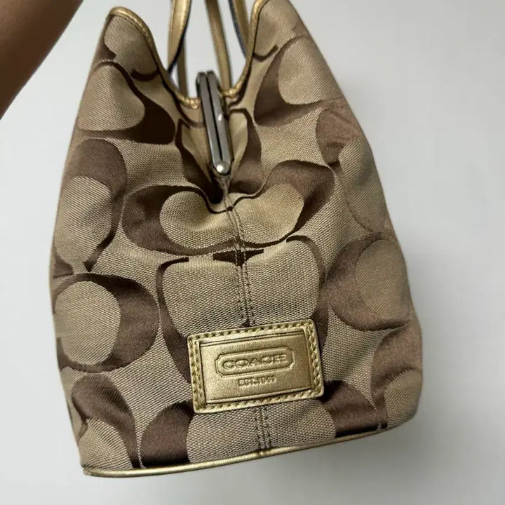 [BUNJANG] Coach Signature Tote Bag / 코치 시그니처 토트백 가방