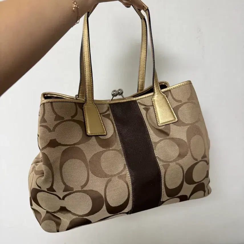 [BUNJANG] Coach Signature Tote Bag / 코치 시그니처 토트백 가방