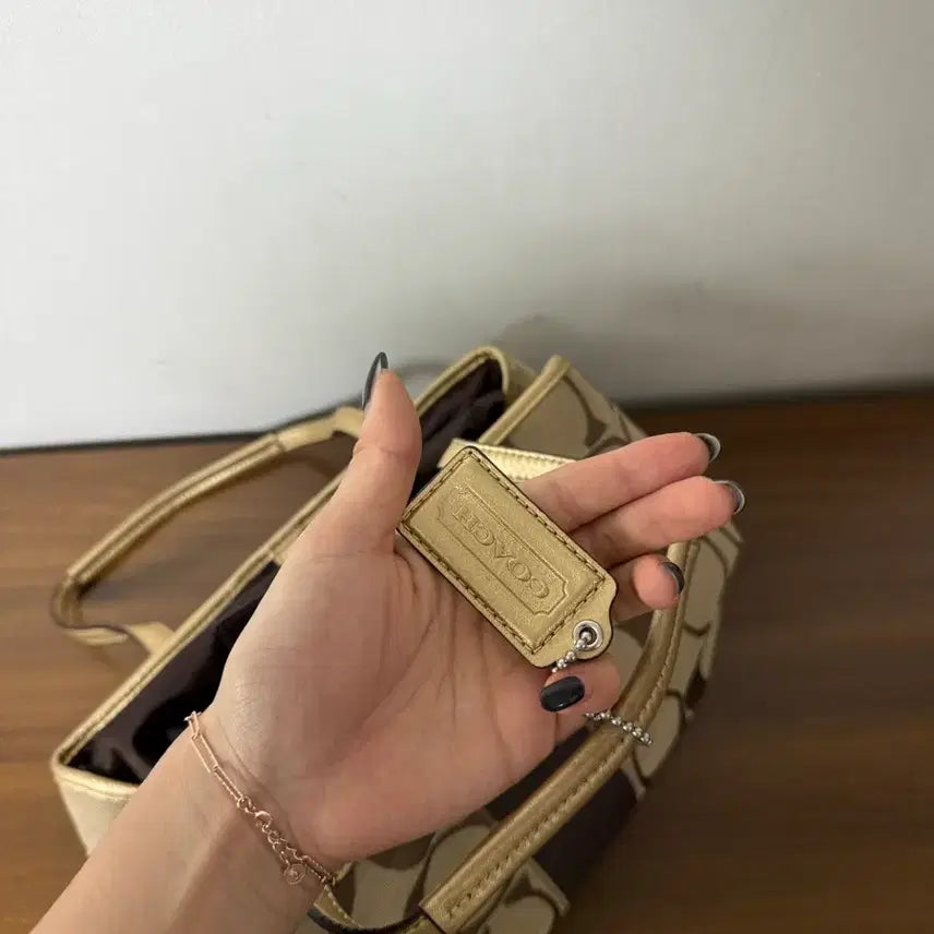[BUNJANG] Coach Signature Tote Bag / 코치 시그니처 토트백 가방