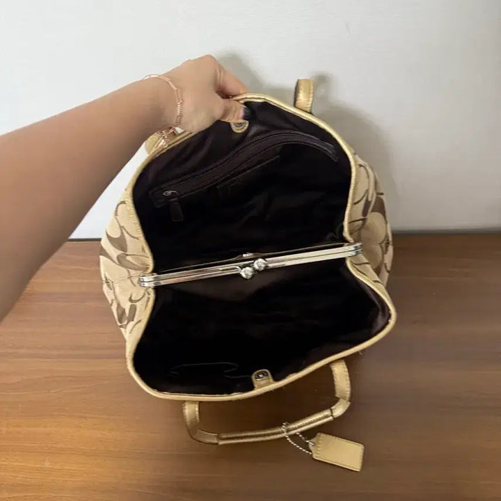 [BUNJANG] Coach Signature Tote Bag / 코치 시그니처 토트백 가방